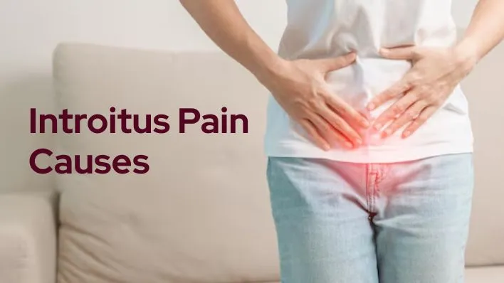 Introitus Pain Causes