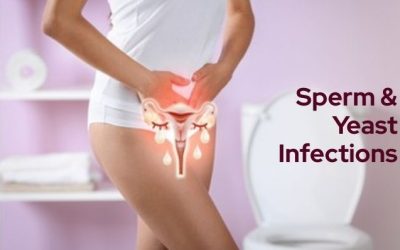 can sperm cause yeast infections in women?