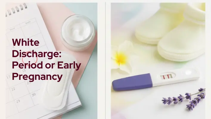 White Discharge Period or Early Pregnancy