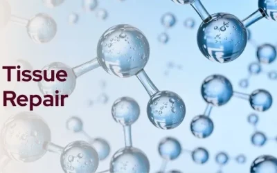 Hormones vs. Hyaluronic Acid: Which Treatment Actually Rebuilds Tissue?