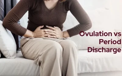 Discharge Before Ovulation vs Before Your Period